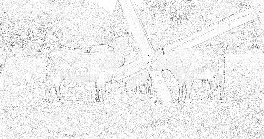 26741 24 LandArt Kroge GoettkeKrogmann